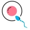 Fertility Nutrition Plan